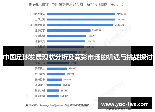 中国足球发展现状分析及竞彩市场的机遇与挑战探讨